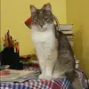 Отзыв от Эльвира Лукина